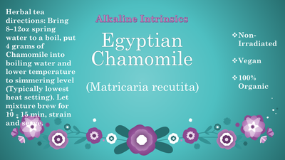 Egyptian Chamomile