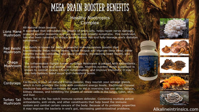 Mega Brain Booster capsules