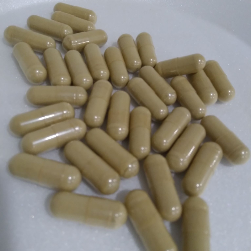 Bladderwrack Capsules (40 count)